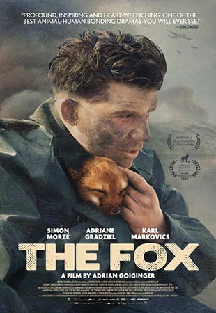 دانلود فیلم The Fox 2022 روباه